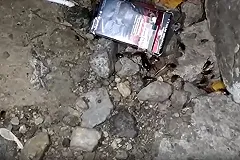 «Просто ковёр из насекомых»: на Сортировке местные жители заметили огромных тараканов