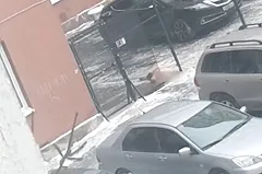 Очевидцы: Перед тем, как выпасть из окна, мужчина на Токарей долго кричал