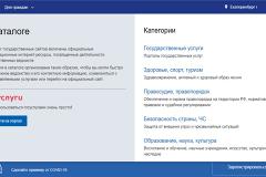 В Свердловской области врачей попросили отдать пароль от Госуслуг начальнику для участия в праймериз