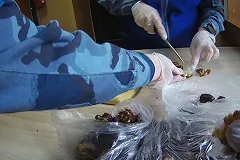 В свердловскую колонию пытались передать финики, фаршированные sim-картами