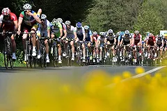 Велосипедист насмерть сбил пешехода в Подмосковье