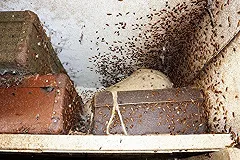 Екатеринбурггаз «сдал» прокуратуре и ГЖИ всех, кто не пускает их проверить плиты