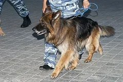 Расследование убийства девушек на Уктусе передали в отдел «важняков»