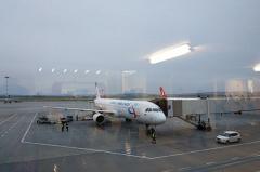 Пассажирам «Уральских авиалиний» не хватило мест в самолете