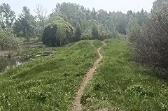 Жители Эльмаша пожаловались на мото- и квадроциклистов, заполонивших местный парк