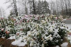 Мэрия начнет убирать снег в Екатеринбурге со следующей недели