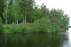 Упавший в Балтым с гидроцикла утонул на глазах у полиции