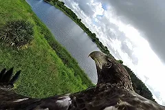 Травмы Михаэля Шумахера связывают с видеокамерой на шлеме