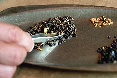 В правительстве подготовили законопроект об индивидуальной добыче золота