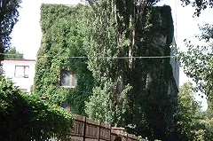 «Крым ваш? А порядки наши!». Россиян заставляют платить за песок на полотенцах