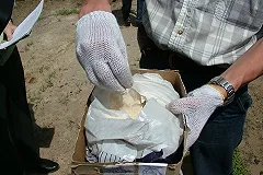 Волны вынесли на британские пляжи 360 килограммов кокаина