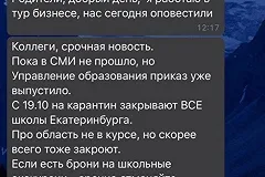 В Екатеринбурге в родительских чатах обсуждают переход школьников на дистант