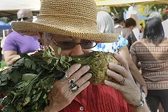 Потеря обоняния в пожилом возрасте может быть предвестником скорого ухода