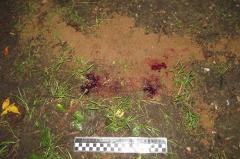 В Свердловской области мужчина убил прохожего