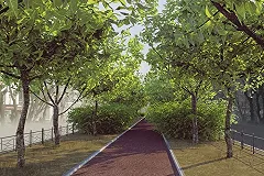 Чиновники пояснили, почему не хотят восстанавливать вырубленную аллею на Химмаше