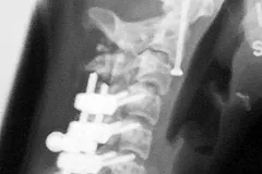 Рябков прокомментировал идею прекращения поставок титана в США