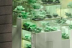 Фастфуд будущего: хот-доги из спирулины и червячные фрикадельки от Ikea