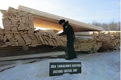 Из Свердловской области в Узбекистан пытались вывезти лес на 10 млн рублей