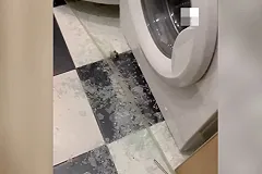 Учитель-москвич устроил пьяную вечеринку для учеников по случаю увольнения из школы