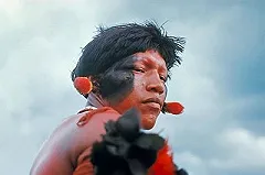 Жившие в изоляции бразильские индейцы вышли из джунглей