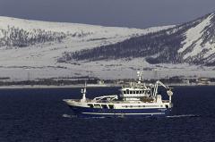 Рыболовные траулеры из Норвегии и РФ- угроза для морских обитателей Арктики