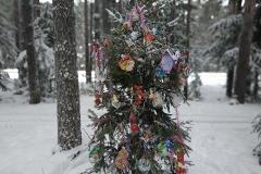Екатеринбуржцы не торопятся выкидывать новогодние елки