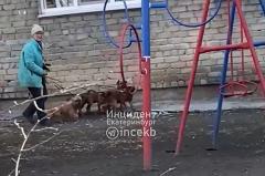Екатеринбурженка пожаловалась на женщину, натравливающую собак на окружающих