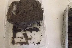 Администрация Екатеринбурга отдаст 2 млн за исследование городской грязи