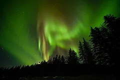 Новая версия гибели группы Дятлова: редкая северная болезнь «мерячка»