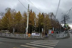 В екатеринбургском Дендрарии на улице 8 марта обустроят еще один новый вход