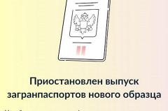 Россиянам приостановили выдачу загранпаспортов на «Госуслугах»