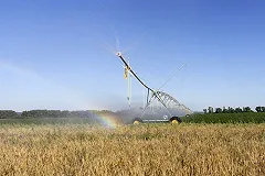 Уральские школьники стали чаще интересоваться аграрными специальностями