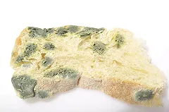 Мать московской девочки-«маугли» оказалась невменяемой