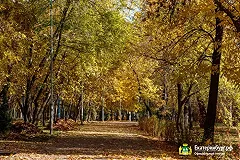 Реконструируемый парк XXII Партсъезда частично откроют для пешеходов