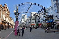 Льва с улицы Вайнера заметили в элитном коттеджном поселке