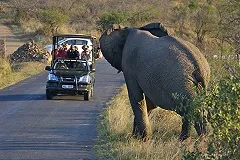 Ученые: Фотографирование увиденного улучшает визуальную память