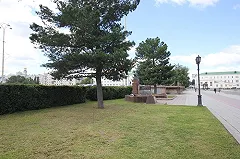 Деревья из сквера перед «Пассажем» пересадили в Зеленую рощу