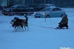 В Челябинске бомжа подозревают в жестоком убийстве хаски