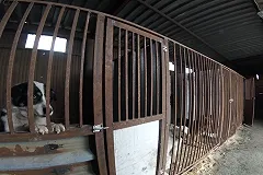 Сразу две съемочные группы «Ермака» подверглись нападению