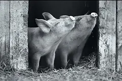 Еще один российский фильм — документальный — вошел в шорт-лист «Оскара»