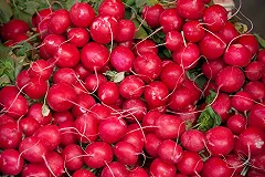 В Екатеринбурге ребенка родителей-вегетарианцев привезли в больницу с истощением