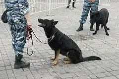 Стали известны жуткие подробности жизни убийцы девочки из Каменска-Уральского