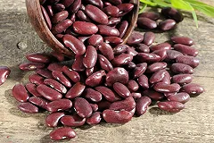 Ученые объяснили, почему нужно есть фасоль каждый день