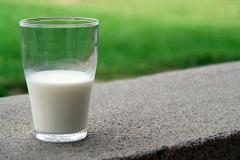 В Свердловской области в магазинах нашли молоко с кишечной палочкой