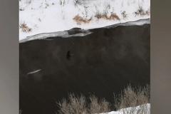 Екатеринбургский браконьер выловил из Исети два мешка рыбы