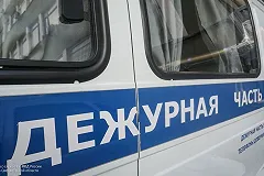 Полиция нашла избитую треш-блогером собаку «в полном здравии»