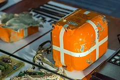 Anna News: российский Су-24 в Сирии добили с земли