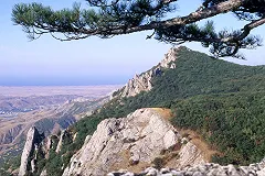 ОАО «РЖД» начало продажу «единых» билетов для проезда в Крым