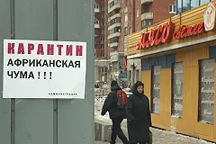 В Россию с Украины перебросили почти тонну зараженной свинины