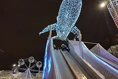 В мэрии объяснили, почему прокатиться с самой большой горки стоит 50 рублей